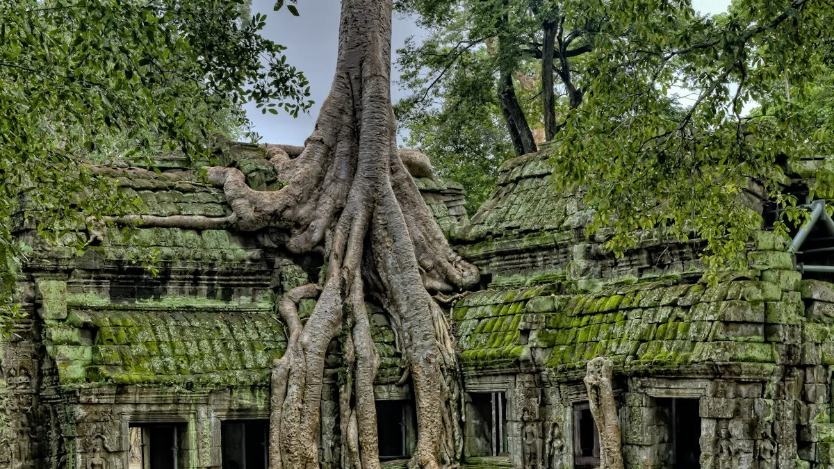 Reruntuhan candi kuno yang ditumbuhi akar pohon di tengah hutan sebagai ilustrasi slot online bertema petualangan