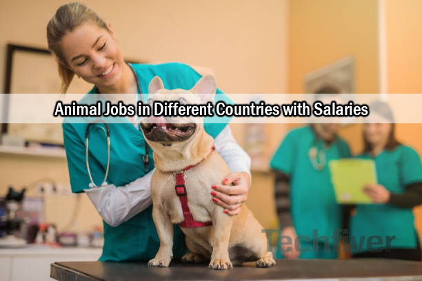 Animal Jobs in Different Countries with Salaries