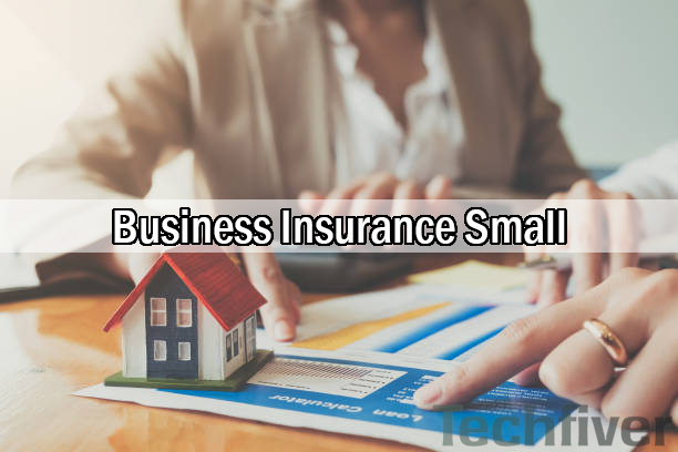 Business Insurance Small: How Small Business Insurance Works